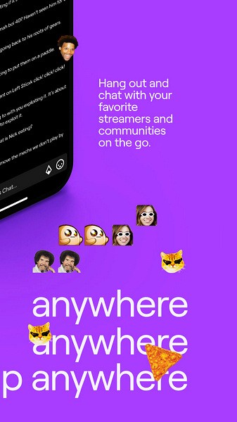 Twitch 聊天界面